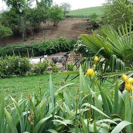 San Filippo Villa Acquapendente Ngoại thất bức ảnh