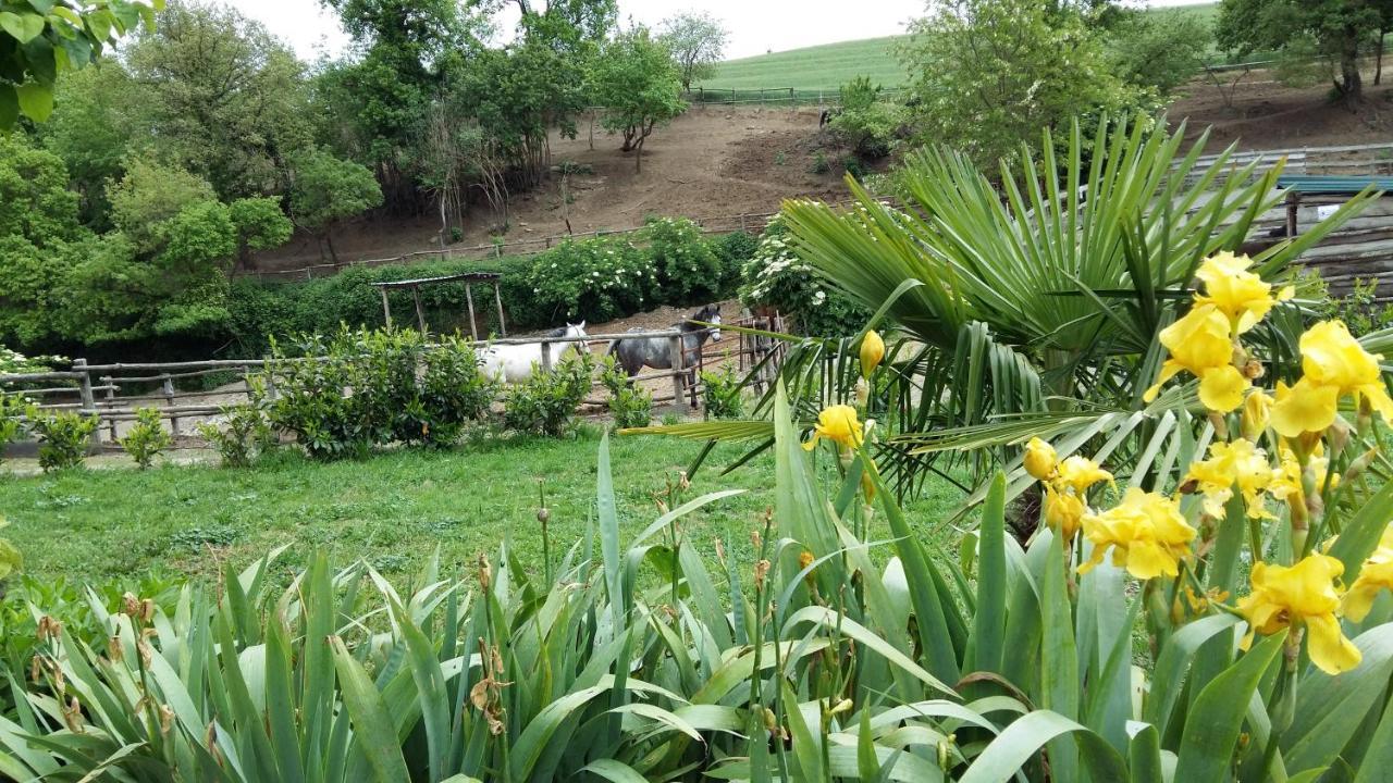 San Filippo Villa Acquapendente Ngoại thất bức ảnh