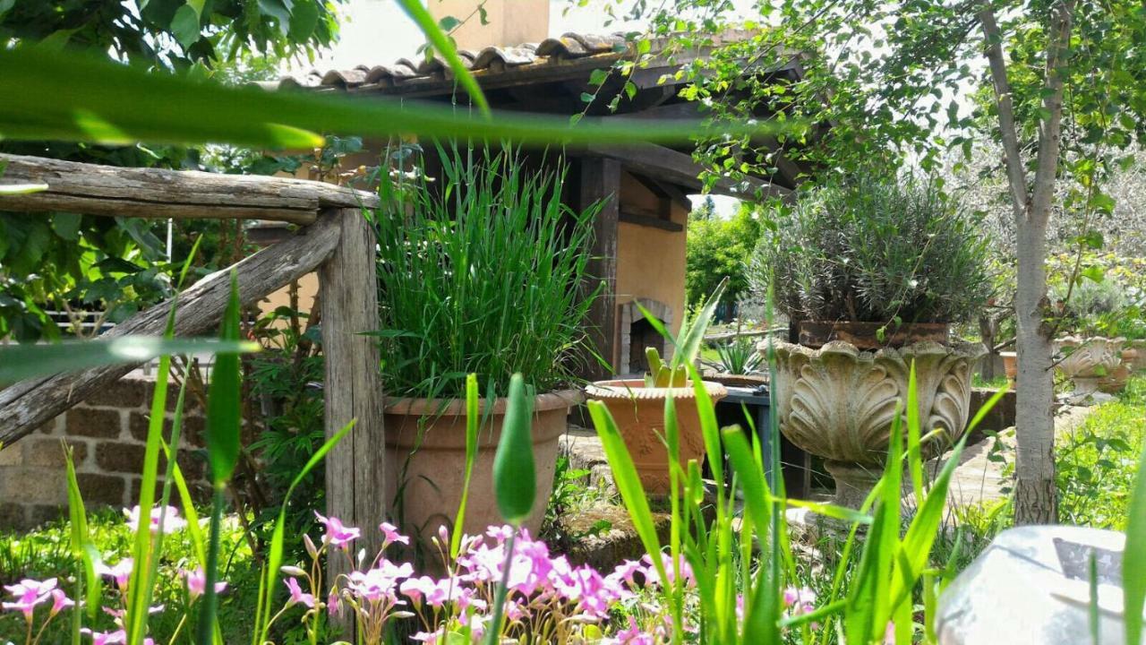 San Filippo Villa Acquapendente Ngoại thất bức ảnh