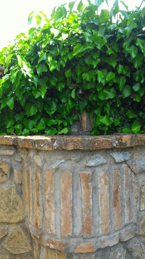 San Filippo Villa Acquapendente Ngoại thất bức ảnh